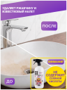 Средство чистящее для сантехники BLACKSTORY Magis Power Gel, 1000мл